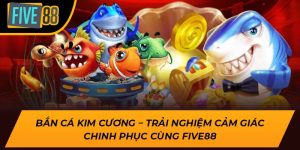 Cách tham gia và quy tắc cơ bản trong trò chơi