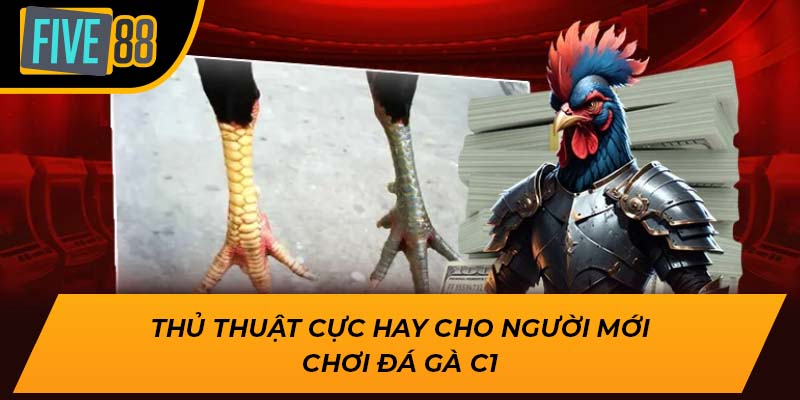 Thủ thuật cực hay cho người mới chơi đá gà c1