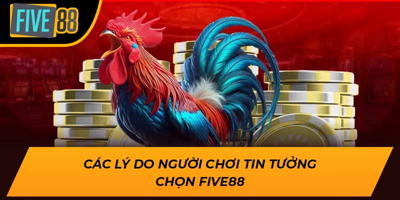 Các lý do người chơi tin tưởng chọn Five88