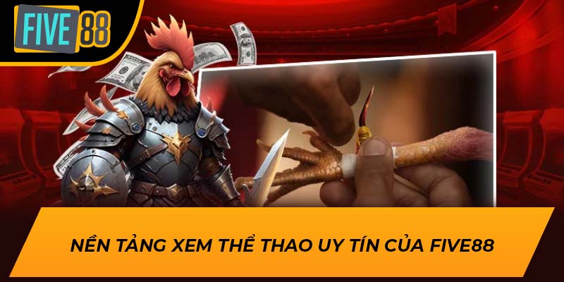 Trải Nghiệm Hấp Dẫn Khi Xem Trực Tiếp Đá Gà Cùng Five88 2 Nền tảng xem thể thao uy tín của Five88