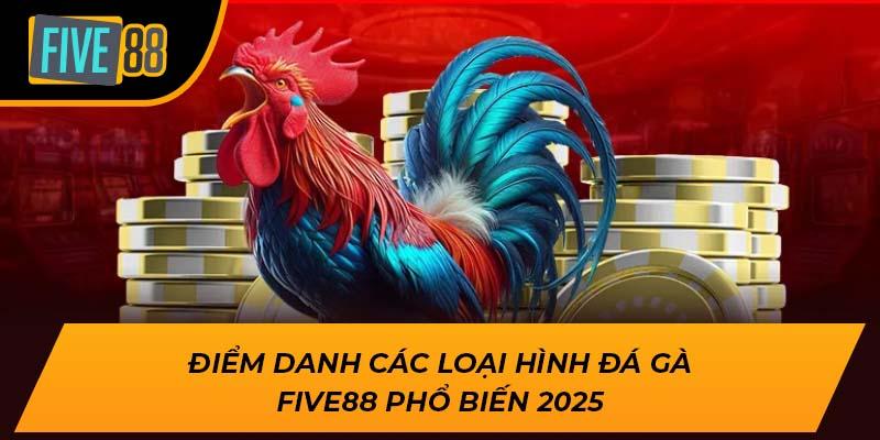 Điểm danh các loại hình đá gà Five88 phổ biến 2025